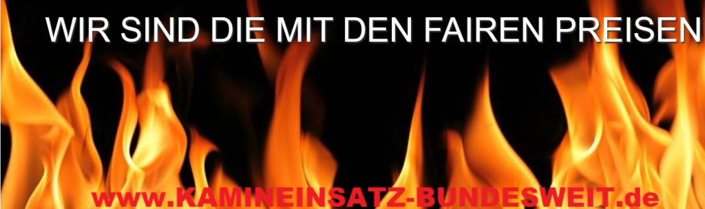 10-Kaminkassette,Kachelofeneinsatz,KAMINEINSATZ AUSTAUSCH,AUSTAUSCHEN,ERSETZEN ,ERNEUERN,UMRÜSTUNG, RUEGG,WOTAN,LEDA,WODTKE