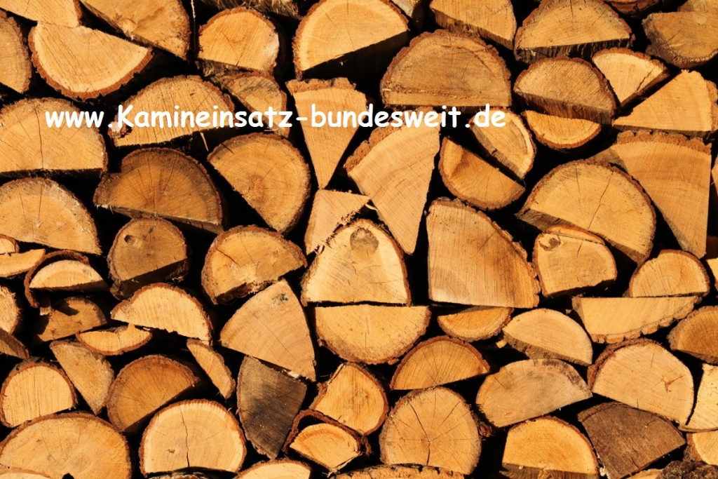 2-3-www.kamineinsatz-bundesweit.de